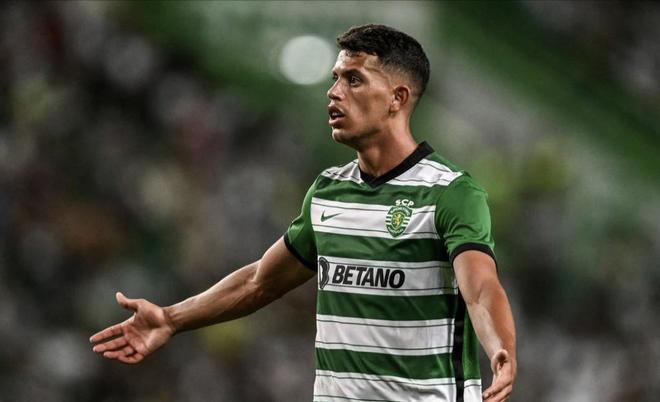 马来西亚的 马来西亚的