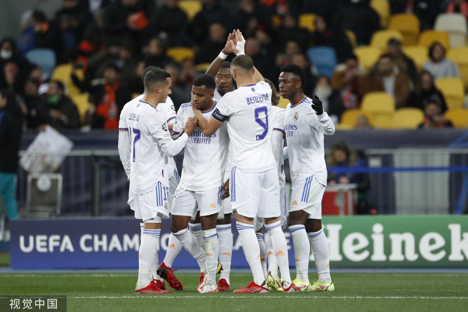 训练的颗粒 训练的颗粒